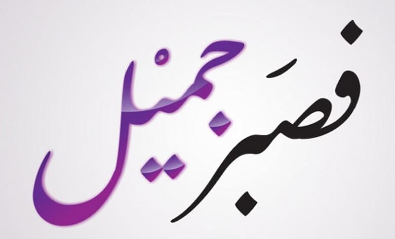 قصة قريش مع الرسول من ناحية إيذاء قريش للرسول محمد