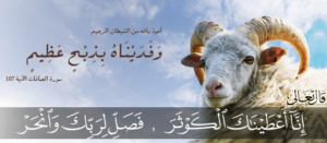 توزيع الاضحية و حكم الأضحيه