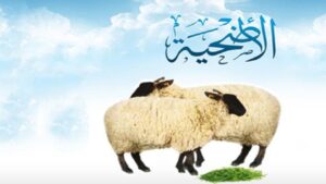 شروط الاضحيه واحكام الاضحية ووقت الاضحية