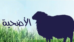 وقت الاضحية و عيوب الاضحية
