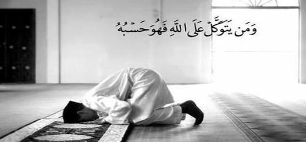 معنى اعقل وتوكل ما قصص التوكل على الله