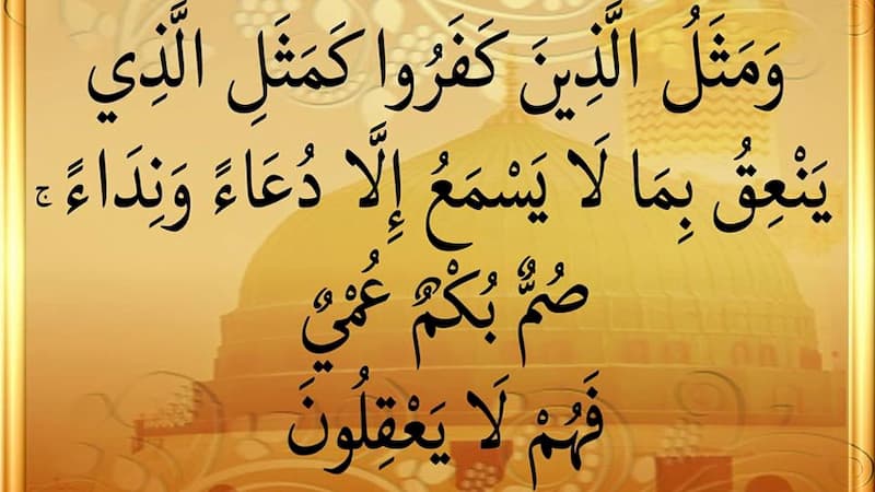 صم بكم عمي فهم لا يعقلون