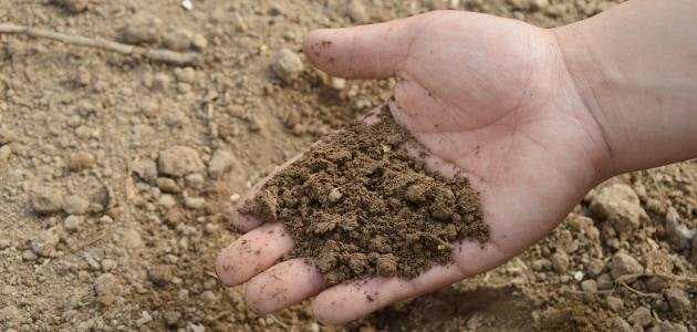 ما هي فروض وطريقة التيمم